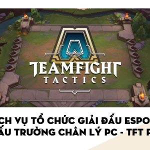Tổ chức Giải đấu Esport: Đấu Trường Chân Lý